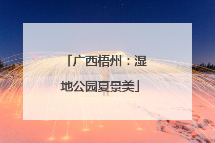 广西梧州：湿地公园夏景美
