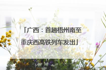广西：首趟梧州南至重庆西高铁列车发出