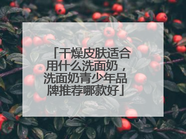 干燥皮肤适合用什么洗面奶，洗面奶青少年品牌推荐哪款好