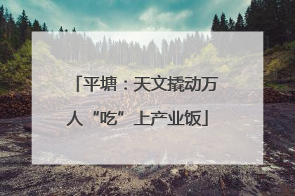 平塘：天文撬动万人“吃”上产业饭