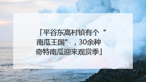 平谷东高村镇有个“南瓜王国”，30余种奇特南瓜迎来观赏季