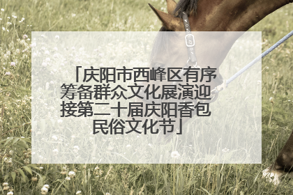 庆阳市西峰区有序筹备群众文化展演迎接第二十届庆阳香包民俗文化节