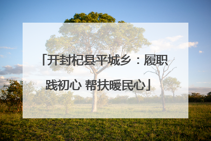 开封杞县平城乡：履职践初心 帮扶暖民心
