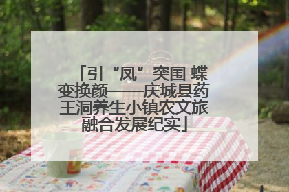 引“凤”突围 蝶变换颜——庆城县药王洞养生小镇农文旅融合发展纪实