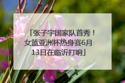 张子宇国家队首秀！女篮亚洲杯热身赛6月13日在临沂打响