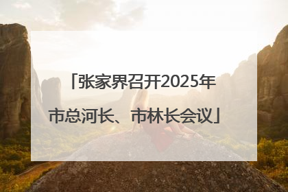 张家界召开2025年市总河长、市林长会议