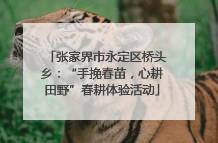 张家界市永定区桥头乡：“手挽春苗，心耕田野”春耕体验活动