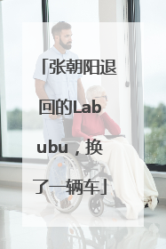 张朝阳退回的Labubu，换了一辆车