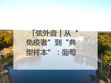 弦外音｜从“免疫者”到“典型样本”：葡萄牙极右翼崛起背后的欧洲困局