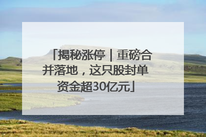 揭秘涨停｜重磅合并落地，这只股封单资金超30亿元