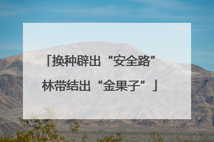换种辟出“安全路” 林带结出“金果子”
