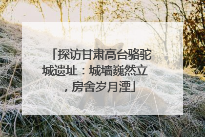 探访甘肃高台骆驼城遗址：城墙巍然立，房舍岁月湮