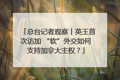 总台记者观察丨英王首次访加 “软”外交如何支持加拿大主权？