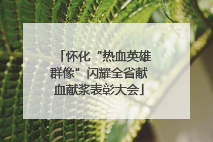 怀化“热血英雄群像”闪耀全省献血献浆表彰大会