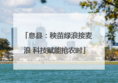 息县：秧苗绿浪接麦浪 科技赋能抢农时