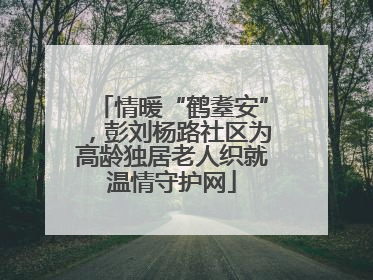 情暖“鹤耋安”，彭刘杨路社区为高龄独居老人织就温情守护网