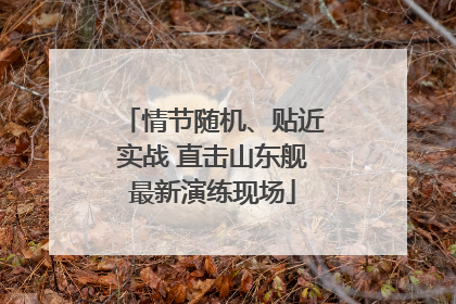 情节随机、贴近实战 直击山东舰最新演练现场