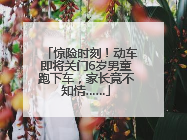惊险时刻！动车即将关门6岁男童跑下车，家长竟不知情……