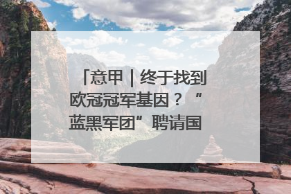 意甲｜终于找到欧冠冠军基因？“蓝黑军团”聘请国米名宿齐沃执教