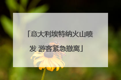 意大利埃特纳火山喷发 游客紧急撤离