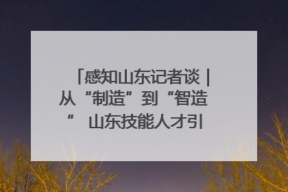 感知山东记者谈｜从“制造”到“智造” 山东技能人才引领产业升级