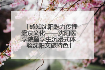 感知沈阳魅力传播盛京文化——沈阳医学院留学生沉浸式体验沈阳文旅特色