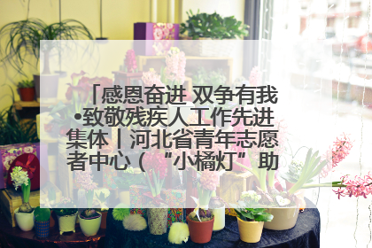 感恩奋进 双争有我•致敬残疾人工作先进集体丨河北省青年志愿者中心（“小橘灯”助残接力计划实施团队）：用温暖陪伴，守护特殊孩子成长