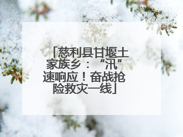 慈利县甘堰土家族乡：“汛”速响应！奋战抢险救灾一线