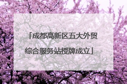 成都高新区五大外贸综合服务站授牌成立