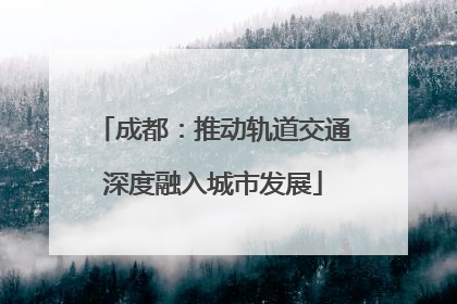 成都：推动轨道交通深度融入城市发展