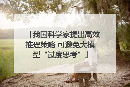 我国科学家提出高效推理策略 可避免大模型“过度思考”