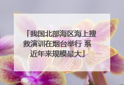 我国北部海区海上搜救演训在烟台举行 系近年来规模最大