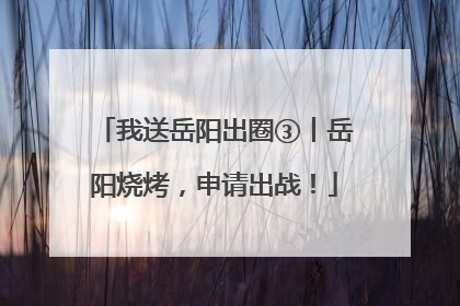 我送岳阳出圈③丨岳阳烧烤，申请出战！