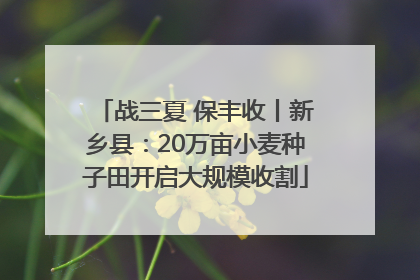 战三夏 保丰收丨新乡县：20万亩小麦种子田开启大规模收割