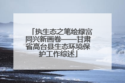 执生态之笔绘绿富同兴新画卷——甘肃省高台县生态环境保护工作综述