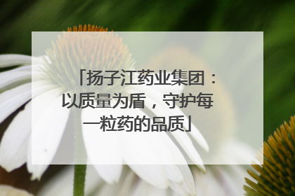 扬子江药业集团：以质量为盾，守护每一粒药的品质
