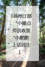 扬州江都：“小摊点”旁讲政策 “小爬爬”上话民生