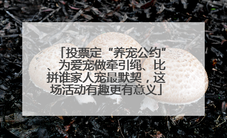 投票定“养宠公约”、为爱宠做牵引绳、比拼谁家人宠最默契，这场活动有趣更有意义