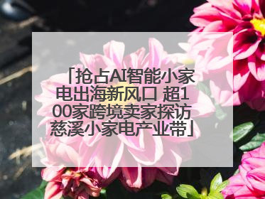 抢占AI智能小家电出海新风口 超100家跨境卖家探访慈溪小家电产业带