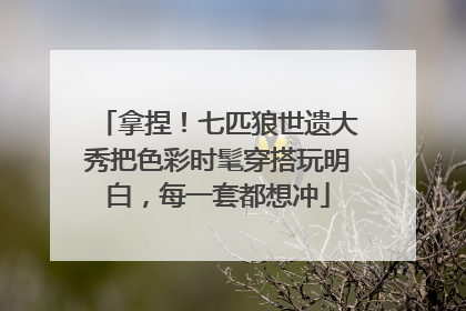 拿捏！七匹狼世遗大秀把色彩时髦穿搭玩明白，每一套都想冲