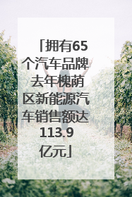 拥有65个汽车品牌 去年槐荫区新能源汽车销售额达113.9亿元