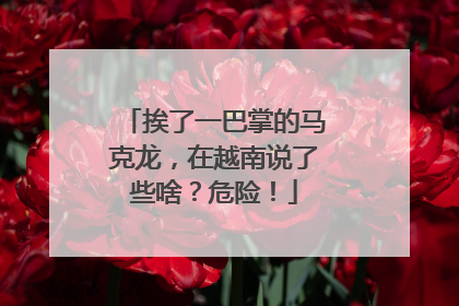 挨了一巴掌的马克龙，在越南说了些啥？危险！