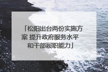 松阳出台两份实施方案 提升政府服务水平和干部履职能力