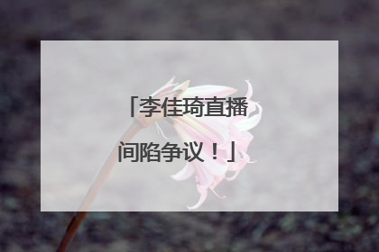 李佳琦直播间陷争议！