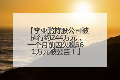 李亚鹏持股公司被执行约244万元，一个月前因欠税561万元被公告！