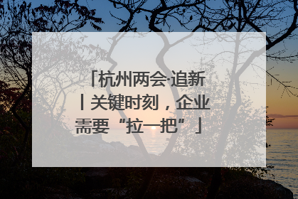 杭州两会·追新丨关键时刻，企业需要“拉一把”