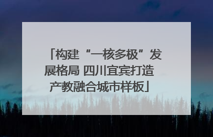 构建“一核多极”发展格局 四川宜宾打造产教融合城市样板
