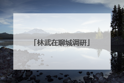 林武在聊城调研