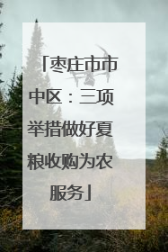 枣庄市市中区：三项举措做好夏粮收购为农服务