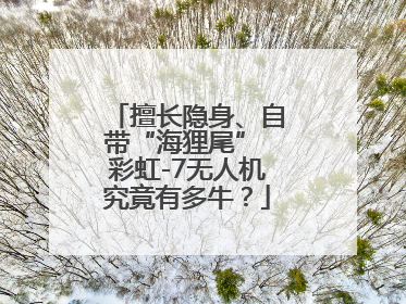 擅长隐身、自带“海狸尾” 彩虹-7无人机究竟有多牛？